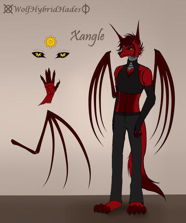 Xangle